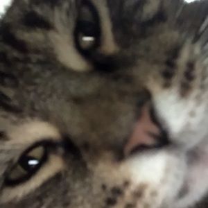 Meet your Posher, Tia